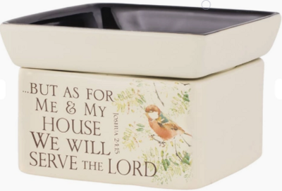 Calentadores de cera 2 en 1