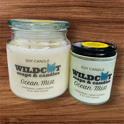 Velas perfumadas Ocean Mist