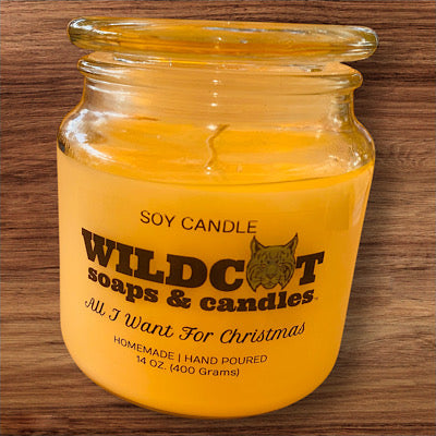 All I Want for Christmas Scented Candles