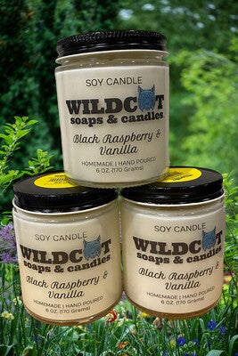 Black Raspberry & Vanilla Scented Candles