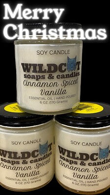 Cinnamon Spiced Vanilla Scented Candles