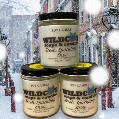 Fresh Sparkling Snow Scented Candles