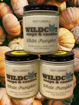 White Pumpkin Scented Candles