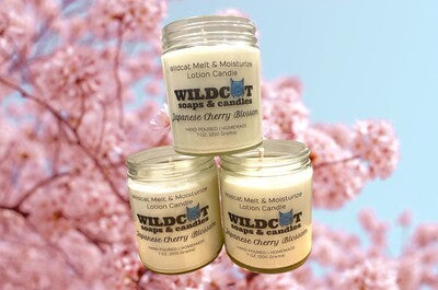 Wildcat Melt & Moisturize Lotion Candle