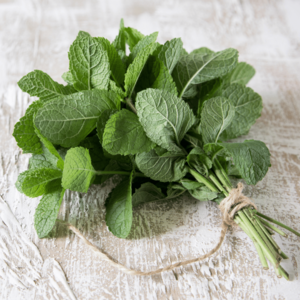 Peppermint Scented Soaps