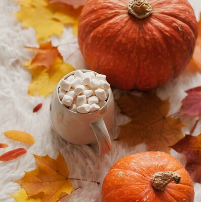 Vanilla Pumpkin Marshmallow Scented Candles