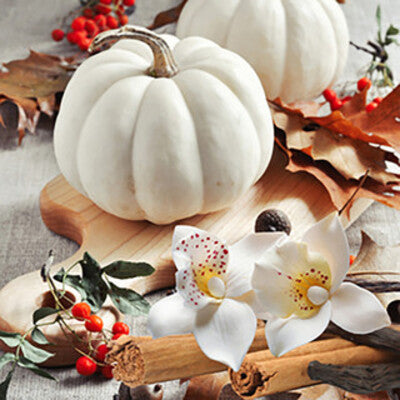 White Pumpkin Scented Candles