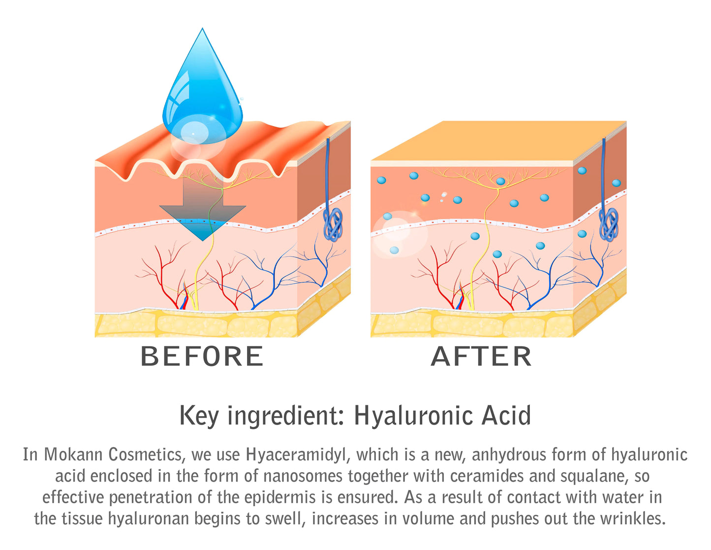 Liposomal Eye Serum