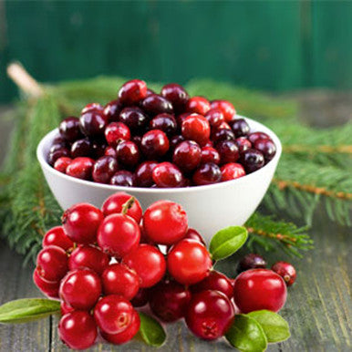 Cranberry Balsam Scented Candles
